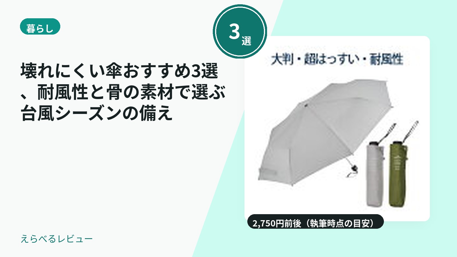 壊れにくい傘おすすめ3選、耐風性と骨の素材で選ぶ台風シーズンの備え