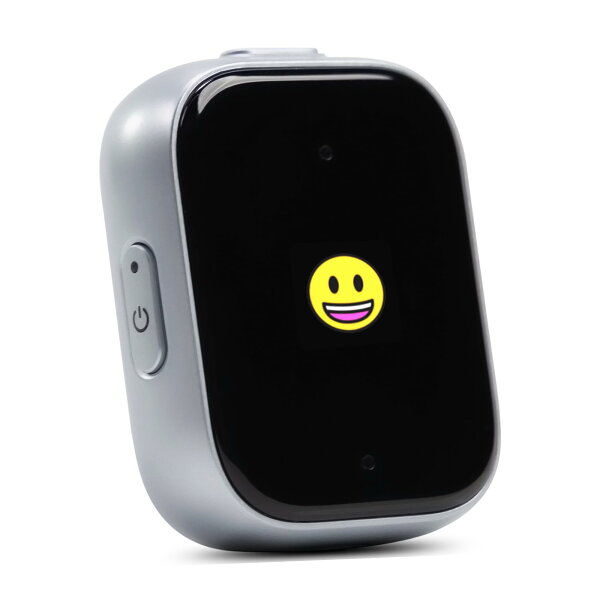 iFLYTEK P1