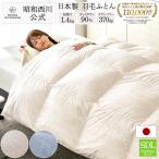 西川 ヨーロッパ羽毛ドイツ産ダック90%