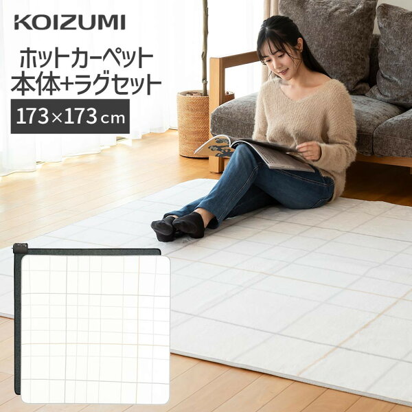 コイズミ 洗えるホットカーペット 2畳用 KDC-20237