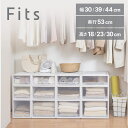 天馬 Fits フィッツケース L-45