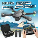 HolyStone HS175D